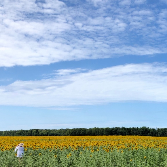 Meet your Posher, Kait - Picture 1 of 1